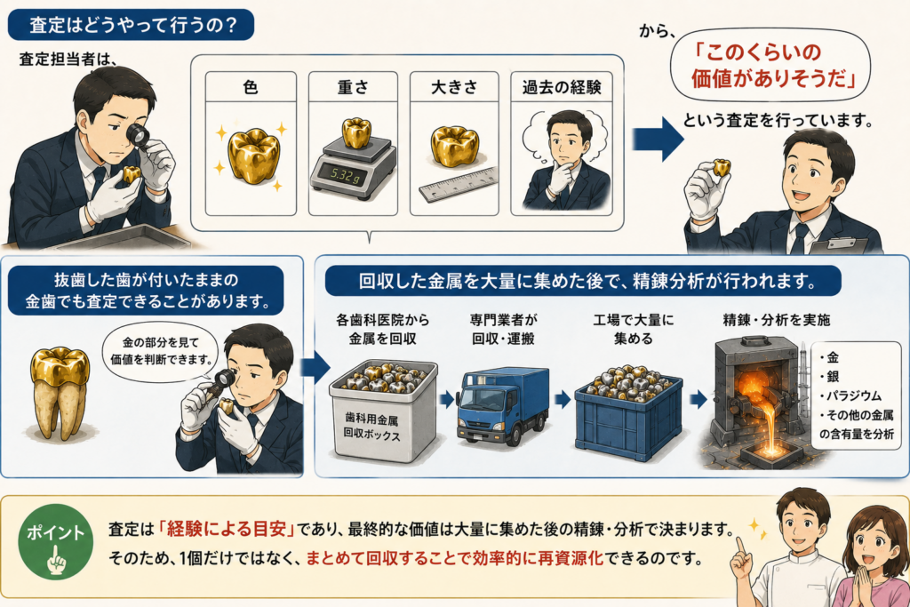 買取店ではどのような査定が行われ、どのように処理されてゆくかを解説するイラスト。