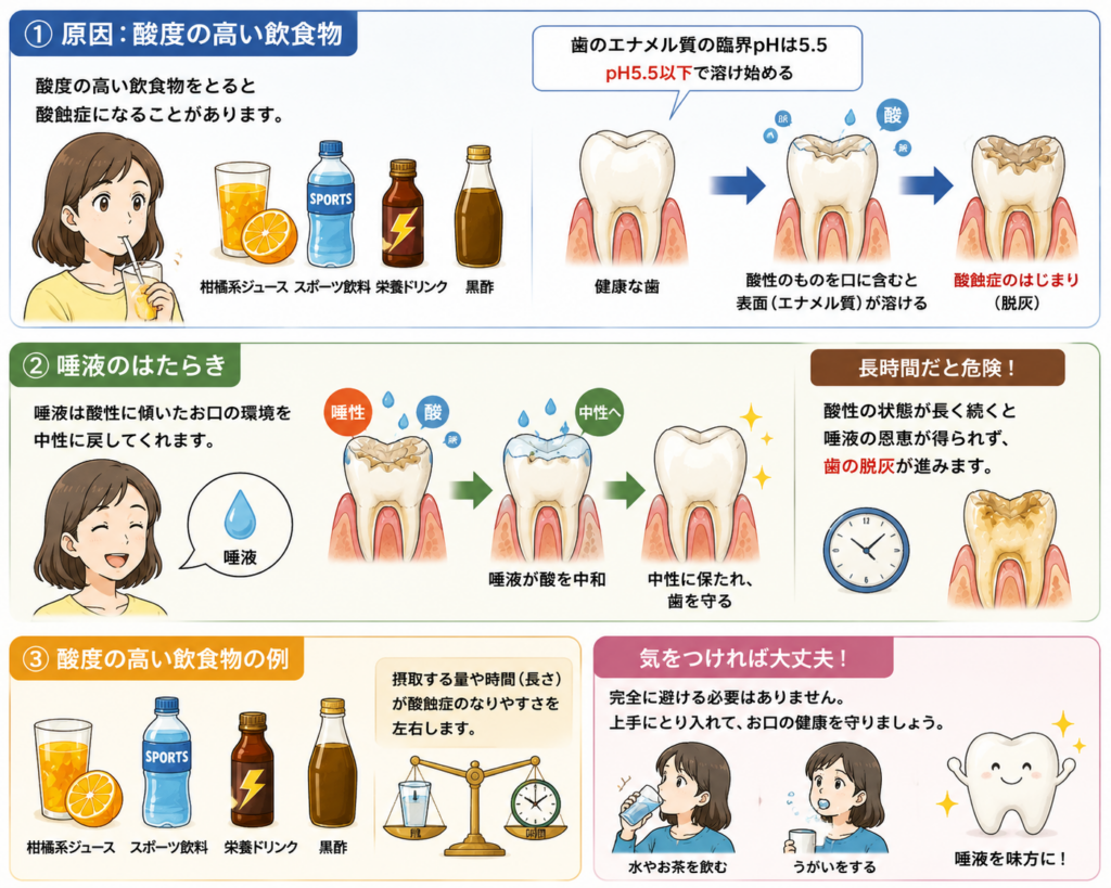 酸蝕症の原因の一つとして酸度の高い飲み物があげられると解説。唾液の役割についても言及。