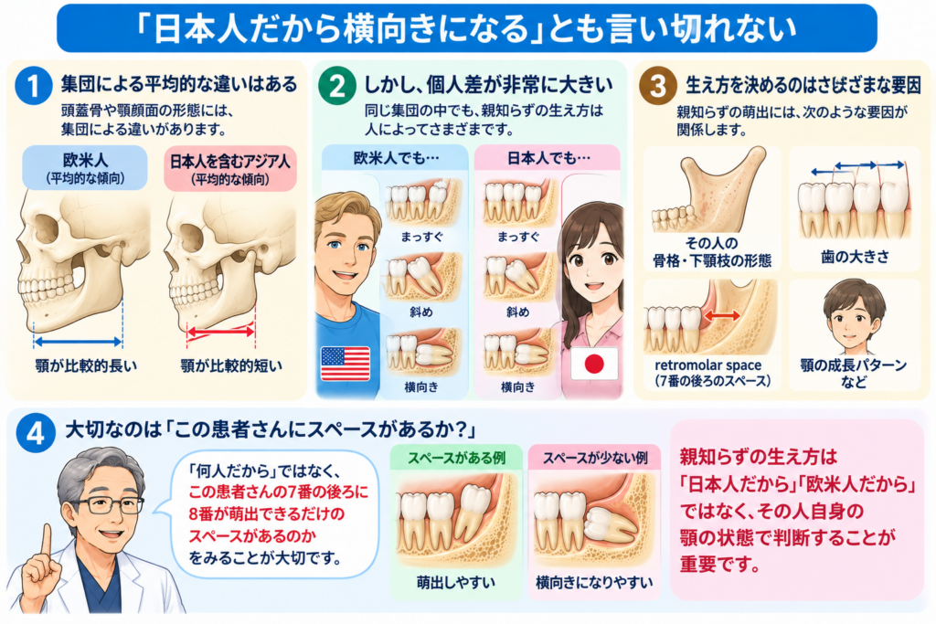 日本人はあごが比較的短い。スペースとの関係。