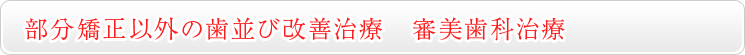 部分矯正以外の歯並び改善治療　審美歯科治療